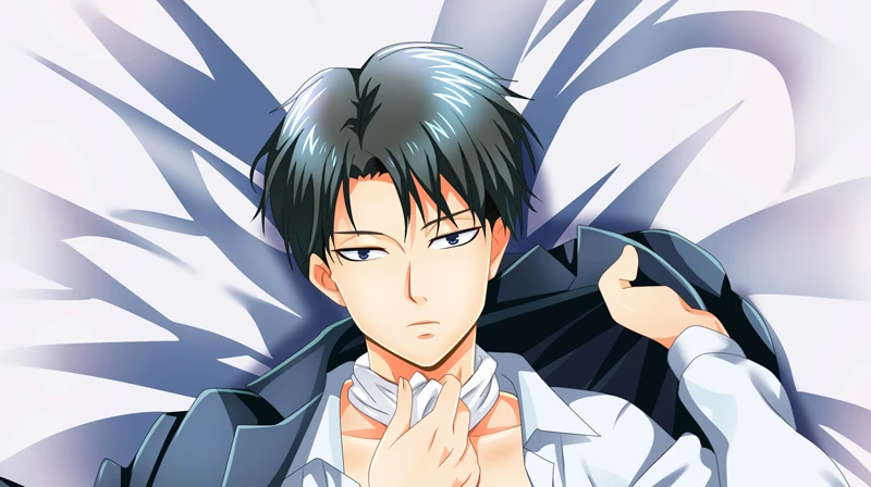 Новый японский аниме Levi Ackerman наволочка s для косплея чехол обнимающего тела