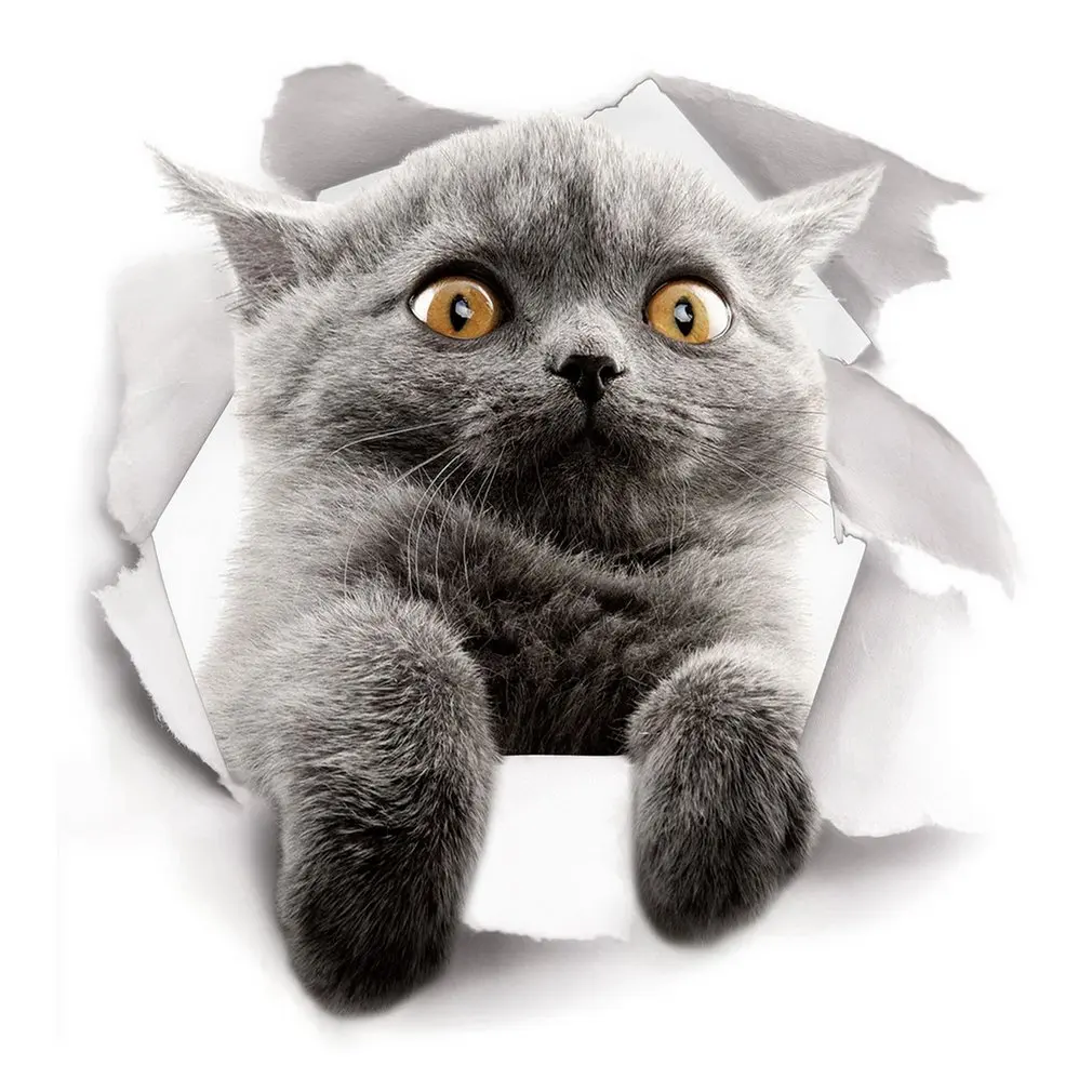 Камера Наружного видеонаблюдения купольная Ptz камера наблюдения 1080 пикселей Ip Wi