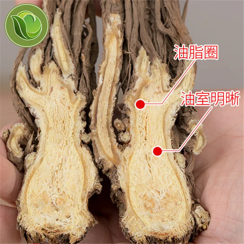 

Chinese Traditional Dried Herbs Angelica Sinensis Root