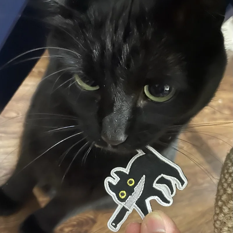 Поклевочный нож серии Little Cat вышитая нашивка из ПВХ милые животные домашних