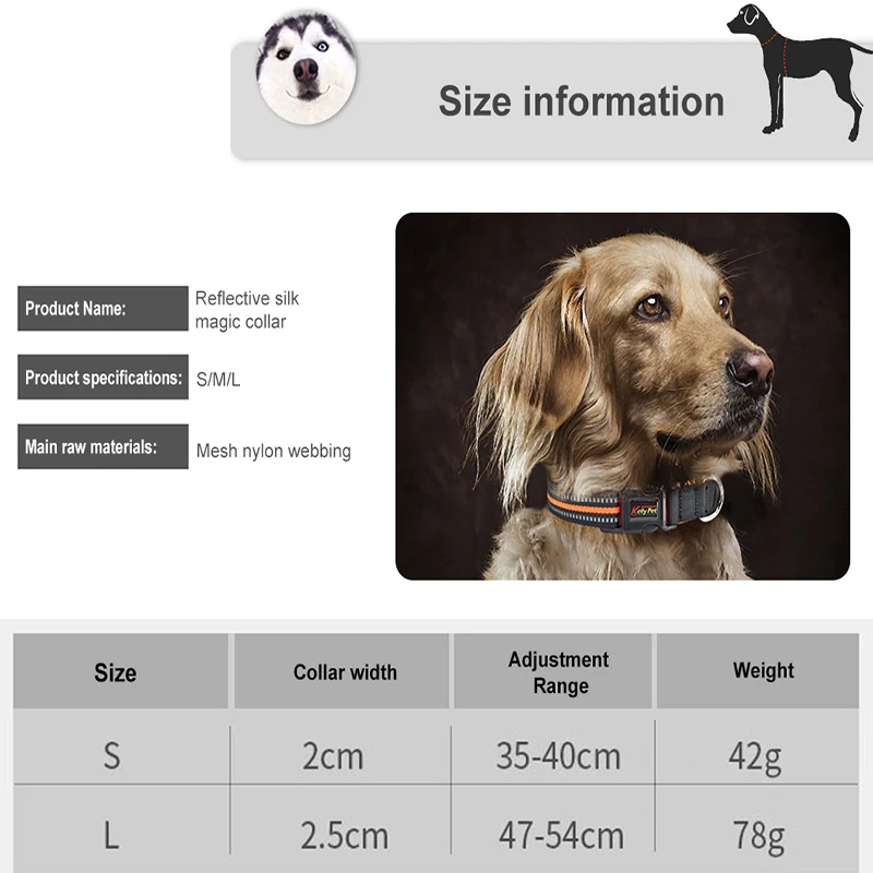 

Automatic Retractable Pet Dog Leash And Suitable Collar Harness Set Reflective Nylon Pet Leash Outdoor Pet Dog D-ring Collar