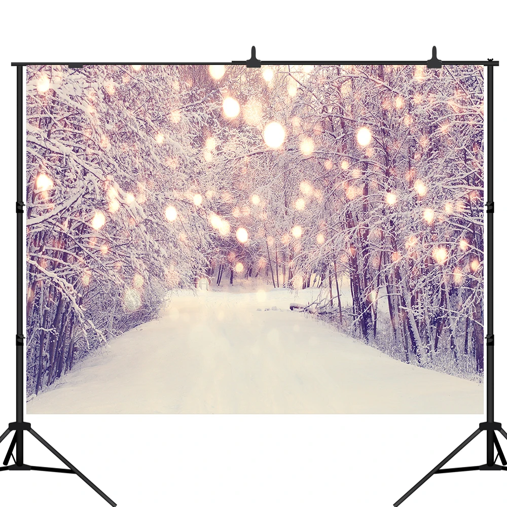 Lyavshi зимних пейзажей страны чудес фотографии фоном в облаках и блеск лес рисунком