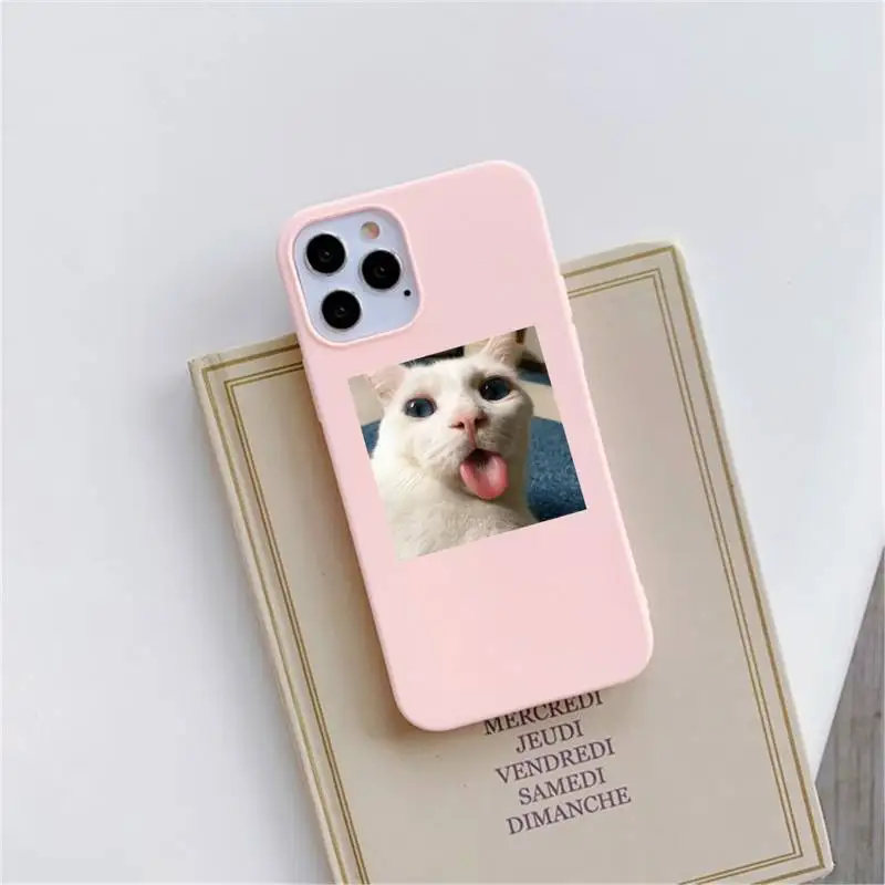 

cute cat Phone Case Pink Candy Color for iPhone 11 12 mini pro XS MAX 8 7 6 6S Plus X SE 2020 XR