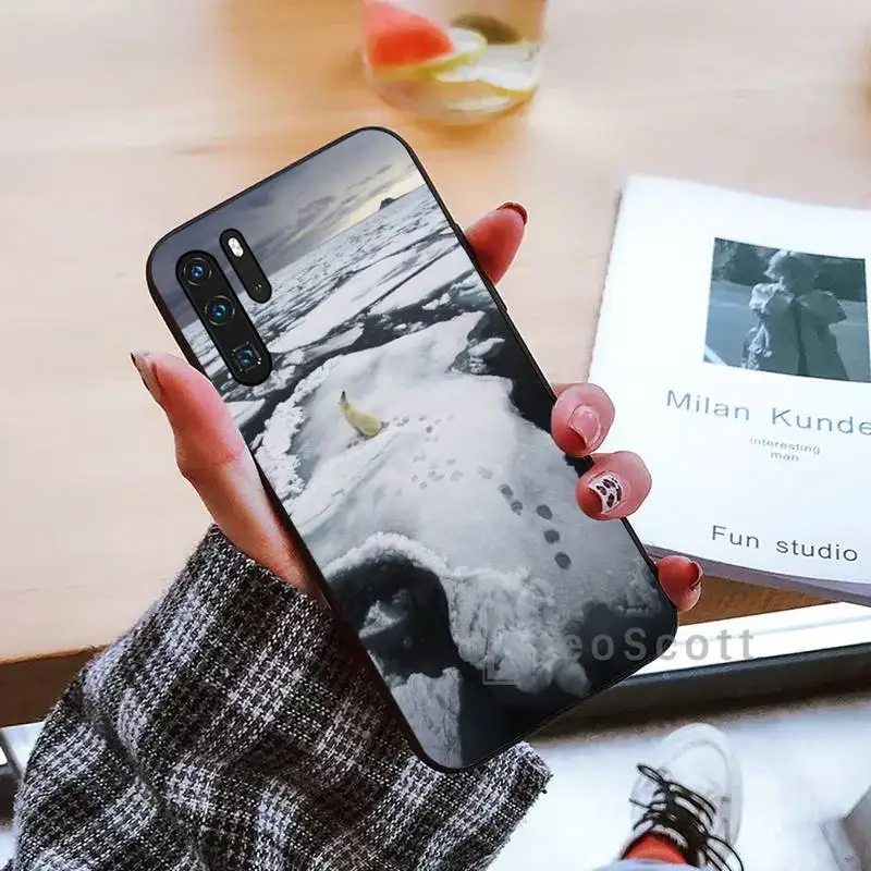

Polar bear cute Phone Case For Huawei P9 P10 P20 P30 Pro Lite smart Mate 10 Lite 20 Y5 Y6 Y7 2018 2019