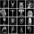 Алмазная живопись 5D сделай сам с черными и белыми животными, полная вышивка квадратными стразами, жираф, Лев, тигр, слон, украшение для гостиной