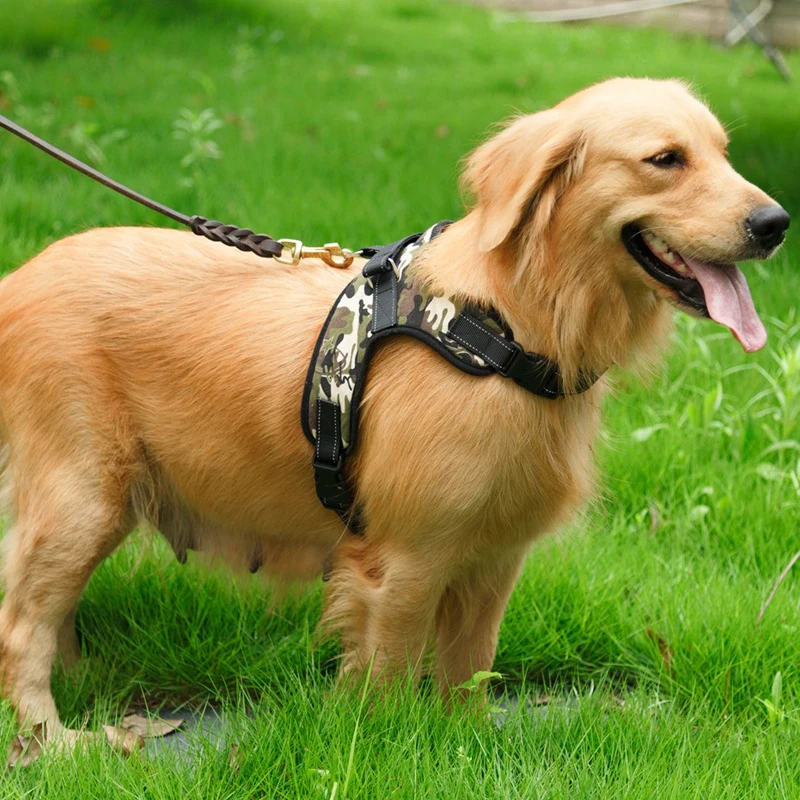 Бесплатная доставка Жилет для сервисных собак для прогулки, ошейник, поводок, подкладка, зимняя леопардовая одежда.