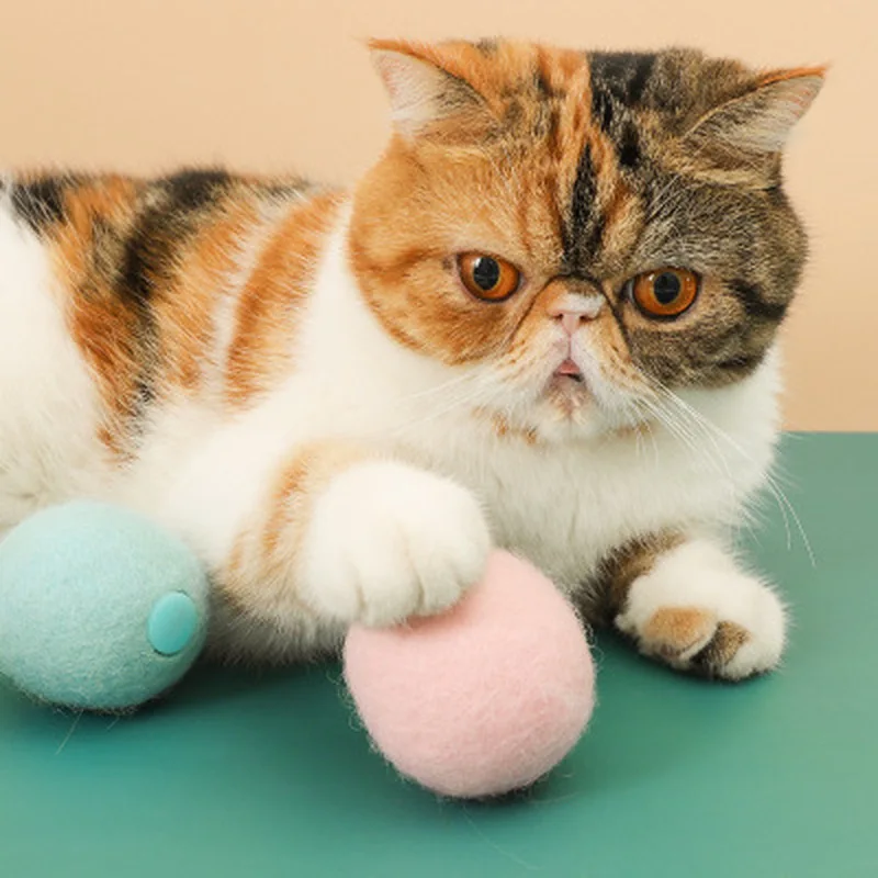 

Squeak Cat Toy Interactive Pet Ball Catnip Cats Toy Traning Pet Balls Funny Touch Sounding Toys Outdoor Self Dog Toys Pets Ball