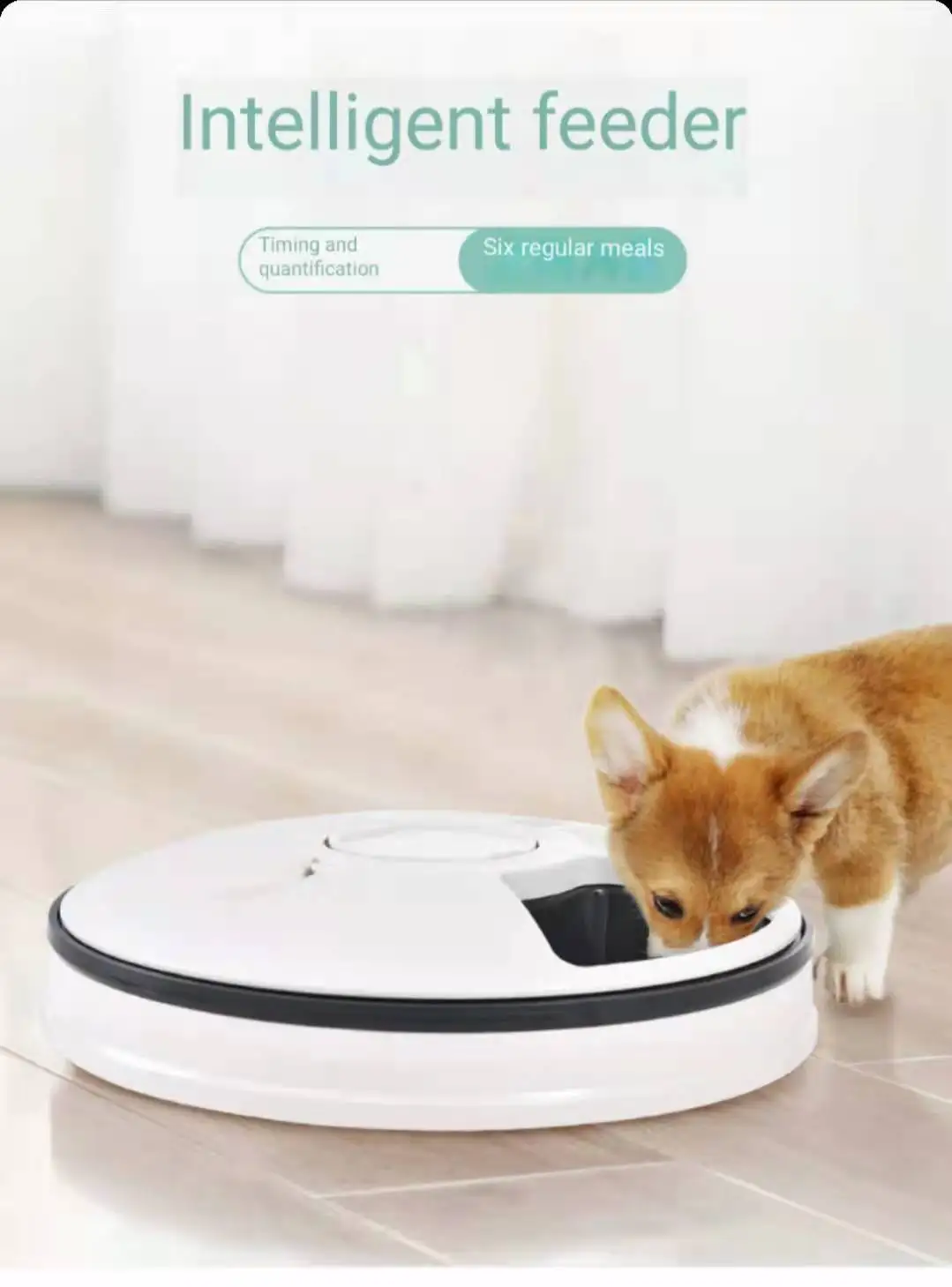 

Pet bowl pet products six hole intelligent timing feeder timing quantitative tableware pet automatic feeder