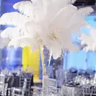 Натуральные пушистые белые страусиные перья, 10 шт., для свадебной вечеринки, вазы, украшения, элегантные шлейфы, поделки 15-20 см25-30 см30-35 см