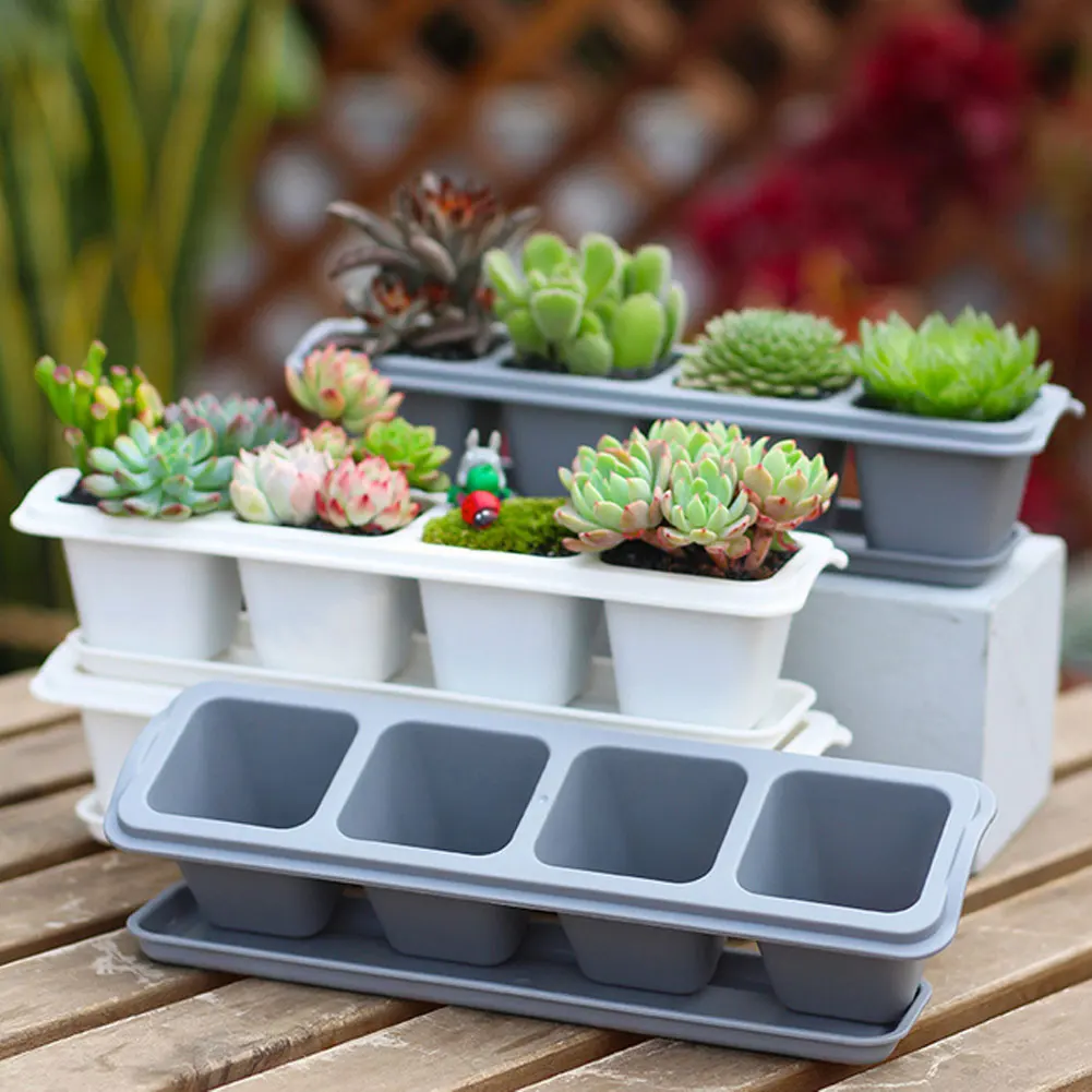 

4/6 Grid Square Plastic Succulents Planter Pots With Tray Set Nursery Pot Cactus Plant Pot Garden Pot Garden Home Decoration
