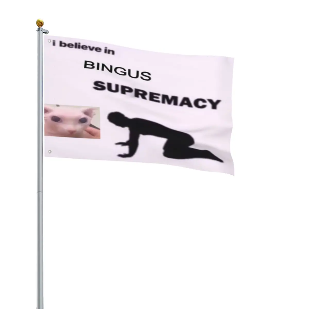 

Bingus Text 261 Pride Flag Printed Gift Banner Home Outdoor Usa Pride Not Binary