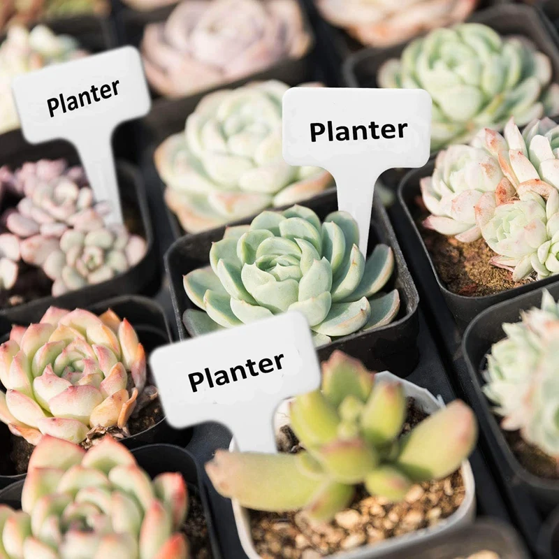 

100Pcs White Plant Labels Water T-Types Plant Tag Reusable Nursery Garden Labels Plant Markers for Flower Vegetables