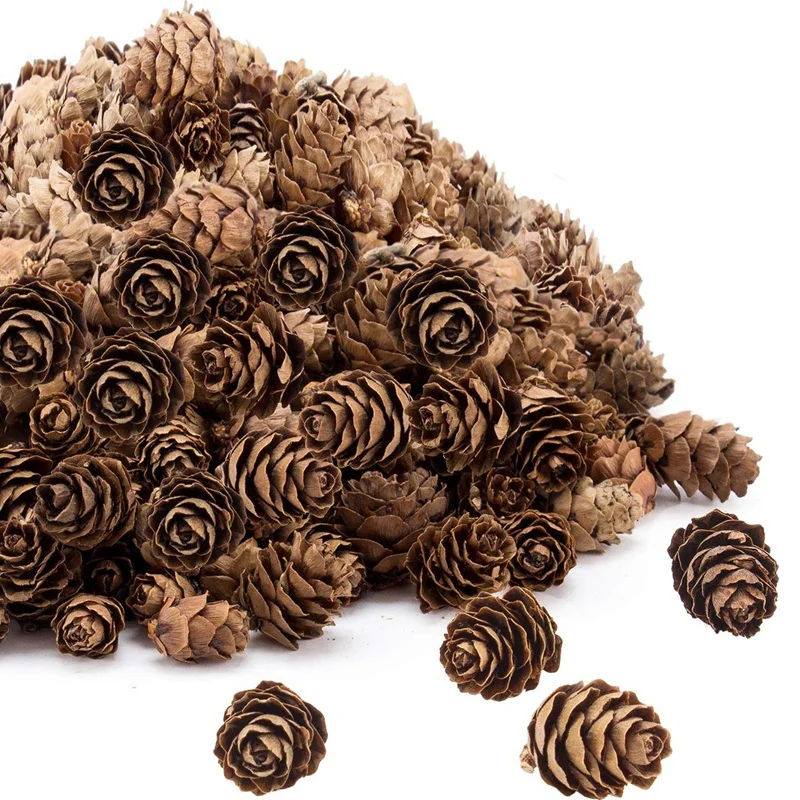200 Pieces Thanksgiving Rustic Mini Brown Pine Cones in Bulk - Christmas Natural Ornaments for Home Decoration Fall a | Дом и сад