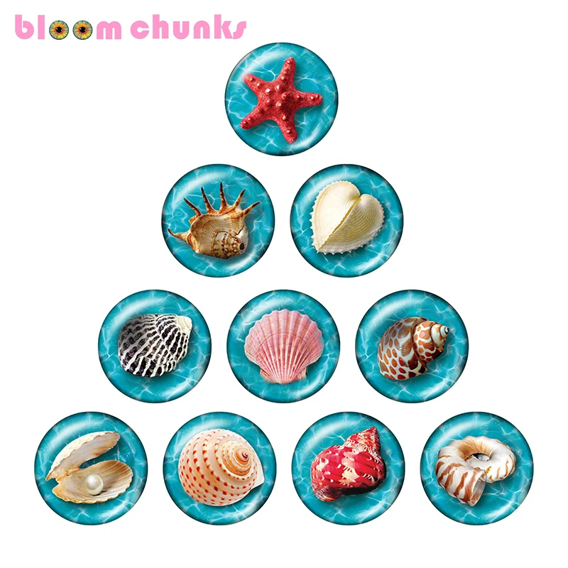 

Ракушки для пляжа, морской звезды, 10 шт., Смешанные Круглые Стеклянные Кабошоны для фото 12 мм/18 мм/20 мм/25 мм, демонстрационная фурнитура с плос...