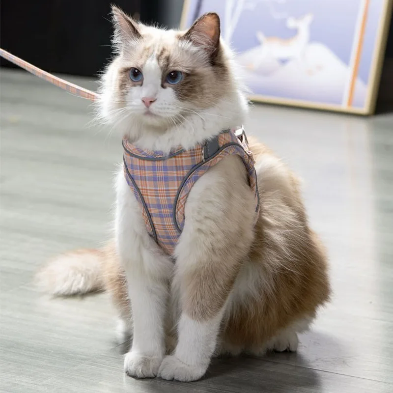 Шлейка-жилет для собак и кошек регулируемые светоотражающие ошейники котят