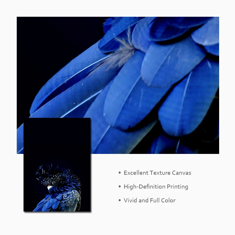 Морской пейзаж на стену художественная Абстрактная Картина холсте попугай