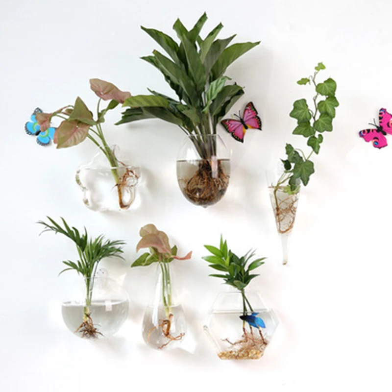 Creative Hanging Hydroponic Plant Glass Vase Wall Transparent Flower Pot Green Dill Small Fish Tank Modern | Дом и сад