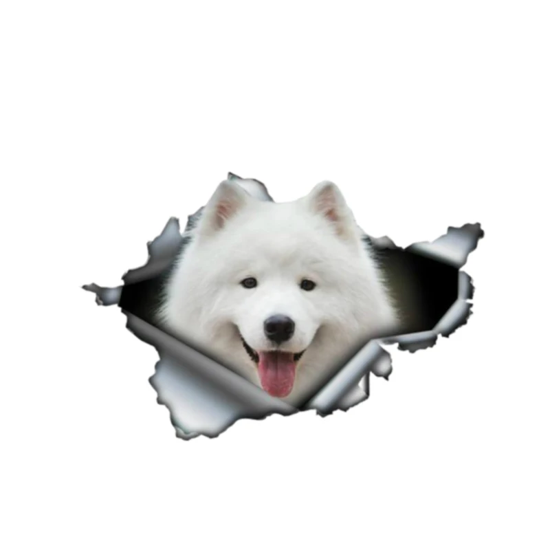 

3D Samoyed Pet Animal Car Sticker Automobiles Motorcycles Exterior Accessories Vinyl Decal for Honda Lada Boat Laptop,13cm*8.7cm