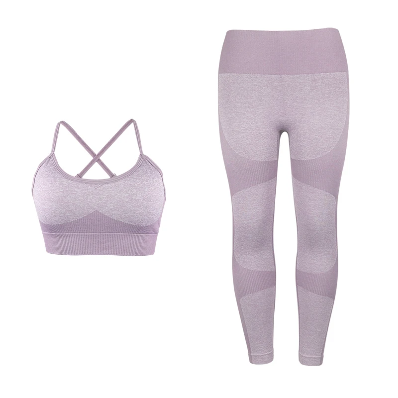purple Бесшовные леггинсы для спортзала, спортивные, для женщин, для фитнеса, для женщин, компрессионные, для тренировок, пуш-ап, облегающие, Joga, комплект из 2 предметов, женская одежда - Цвет: purple