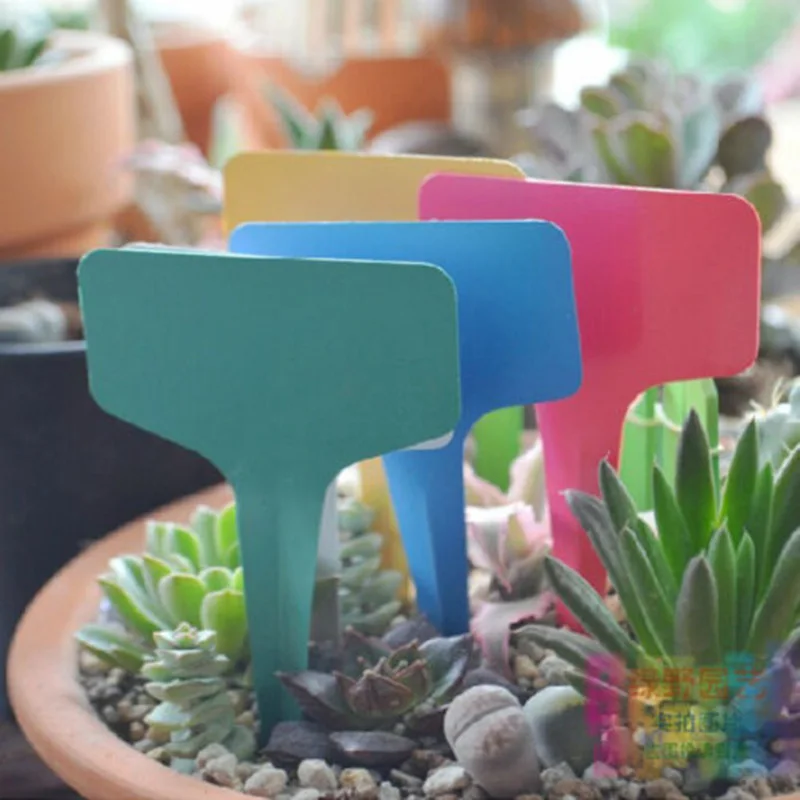 

100 шт., Т-образная надпись для садоводства