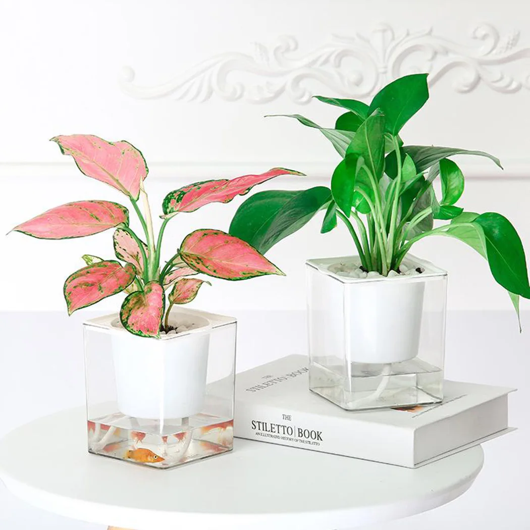 

Clear Self Watering Pot Planter Imitation Glass Square Plastic Flower Pots Succulent Plants Hydroponic Flowerpot Indoor Outdoor