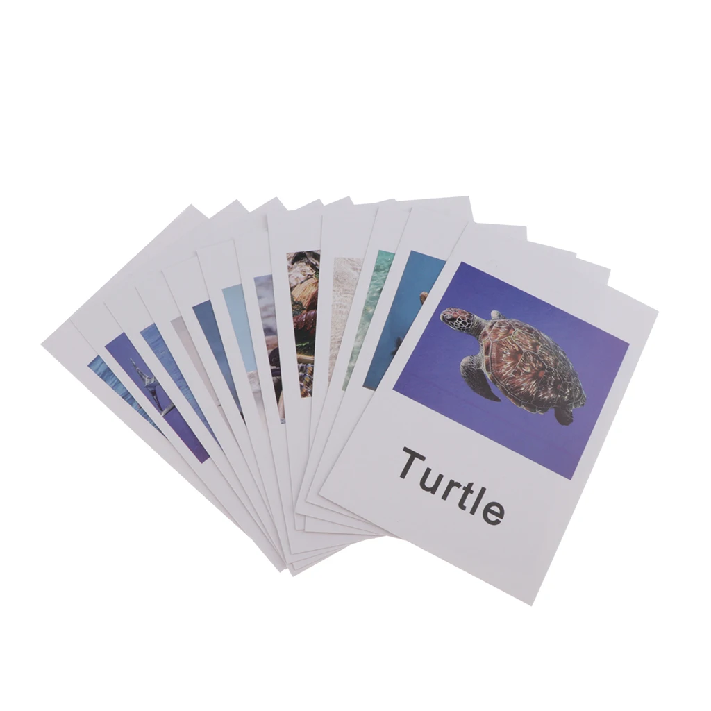 

Marine Organism Model Card Figurine Kids Learning Toy Matching Card