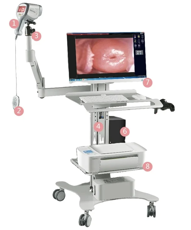 

Kernel KN-2200I(H) kernel digital colposcope CE 2200 HD Digital Video Colposcope Gynecology Colposcopy Vagina COLPOSCOPE