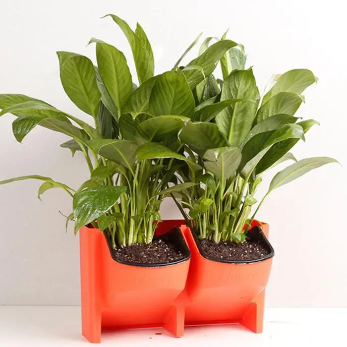 Недавно с самостоятельным поливом цветочный горшок стекируемые Вертикальная