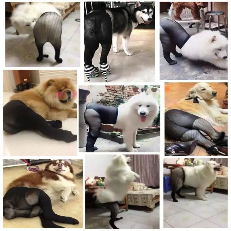 Сетчатые носки для домашних животных Эластичные забавные креативные чулки