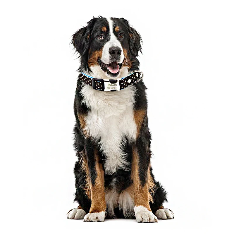 Персонализированное выгравированное название пластина ошейник для маленьких