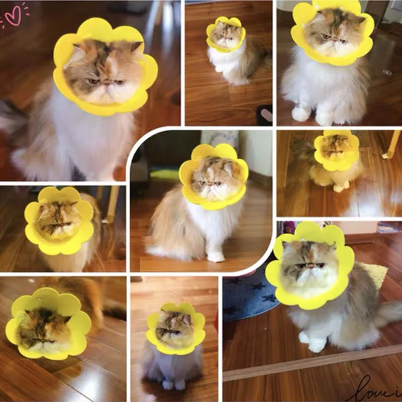 Регулируемый ошейник для собак и кошек мягкий конус заживления Ранок умный