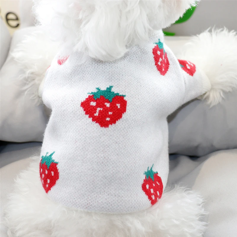 Autumn/Winter Pet Strawberry Print Sweater Small Dog Cat Teddy Bichon Hiromi Schnauzer Yorkshire Poodle Clothes | Дом и сад