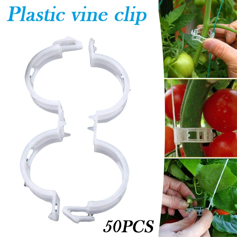 

Plant Support Clips Garden Trellis Durable Vegetable Supports Clips Makes Crop to Grow Upright and Healthier For Plants NEW
