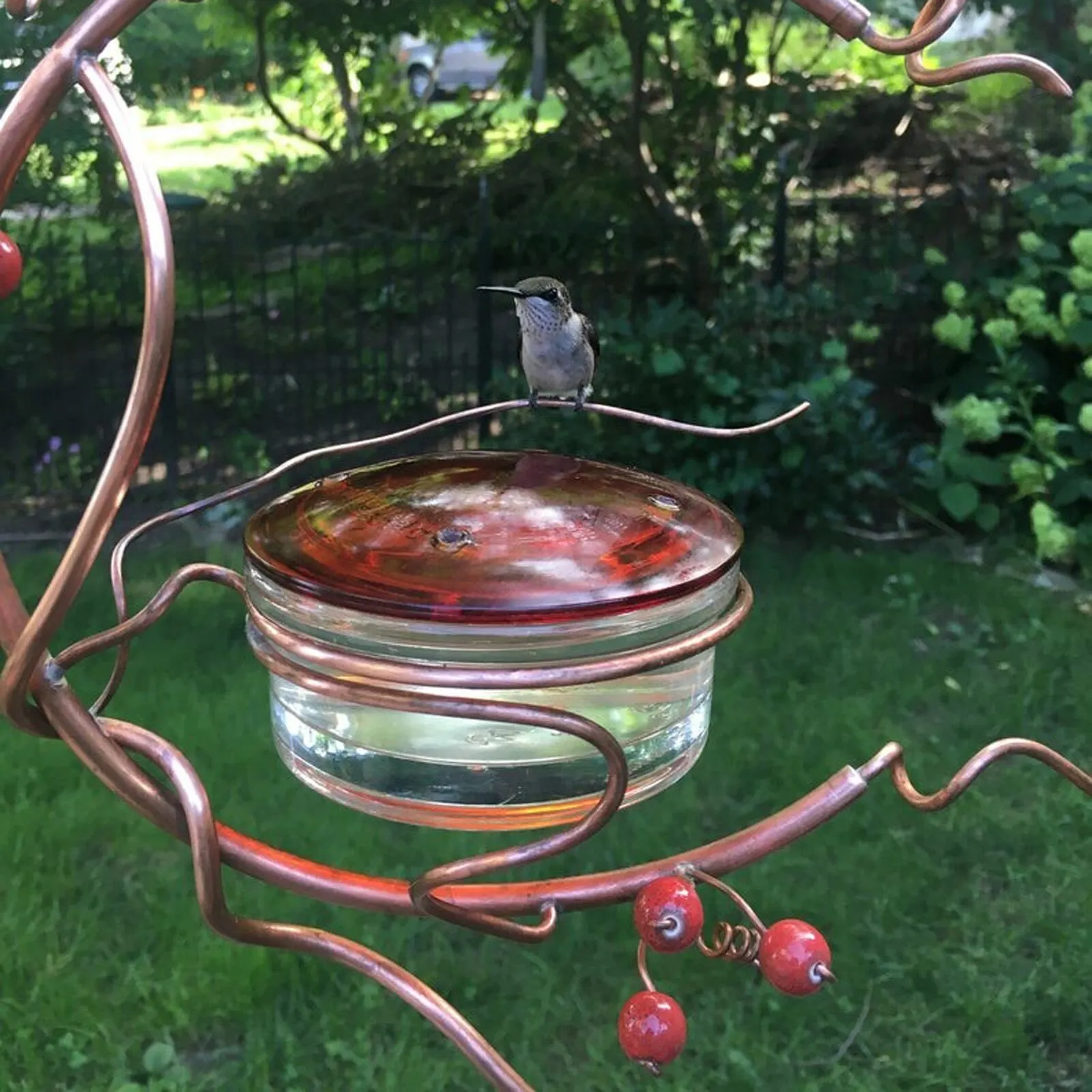 

Courtyard Hanging Bird Feeder,red Berries Hummingbird Feeder Metal Bracket Bird Feeder Bird Cage Pet Accessories Drop Shipping
