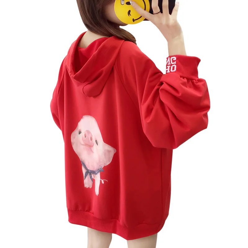 

Female Ins Super Hot Casual Fashion Autumn and Winter Loose Korean Version Lantern Sleeve Top Embroidery Printing Tide