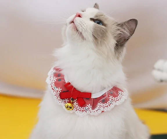 

Нагрудник для домашних животных, ошейник с бантом и кружевом для кошек, ошейник с колокольчиком для собак, ошейник для домашних животных на ...