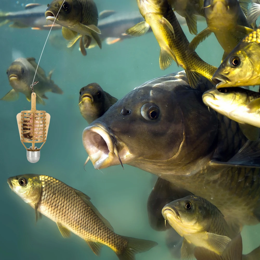 Клетка для кормления карпов 20 г/30 г/40 г/50 г с грузом для запутывания приманок и аксессуарами.