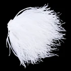 Высококачественная натуральная фотолента, белое страусиное перо, кружево с бахромой 10-22 см, ткань для шитья свадебного платья, 1 метр