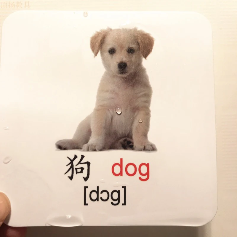 Детские английские телефонные карточки с животными Монтессори Обучающие для