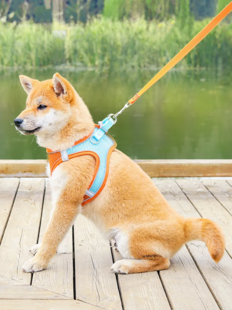 

Supplies Vest Pet Hand Holding Rope Cat Breast Strap Breathable Reflective Dog Walking Chain
