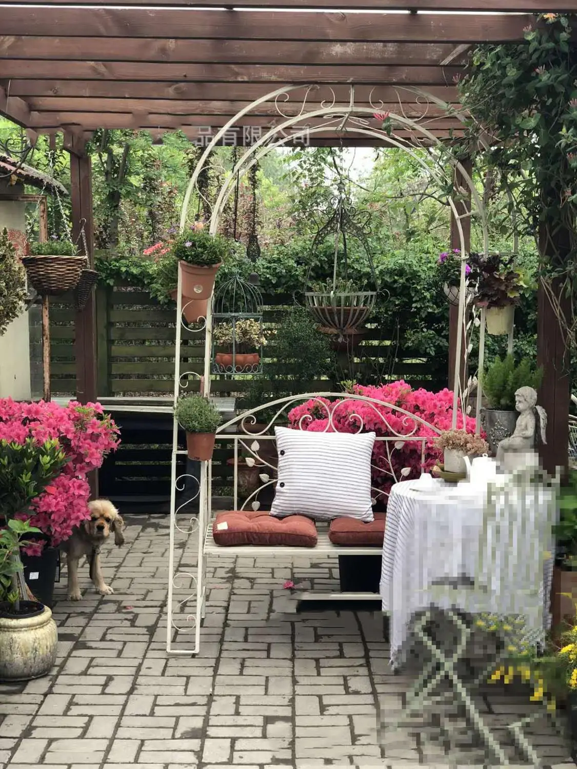 

Iron Arch Outdoor Double Chair Metal climbing frame flower stand