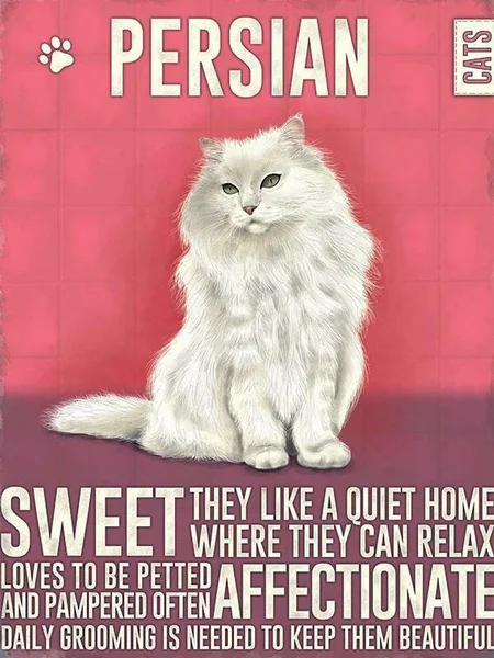 

Vintage Metal Sign Plaque Persian Cats Breed Pet Shop Home Garden Wall Decor