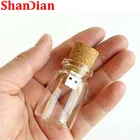 SHANDIAN новая дрифтинговая бутылка флеш-диск USB 2,0 4 ГБ, 8 ГБ, 16 ГБ, 32 ГБ, 64 ГБ, 128 ГБ, коробка для ручек, бесплатные пользовательские логотипы, карта памяти, подарки