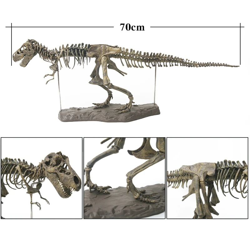 

Large Dinosaur Fossil Skull Animal Model Toys Tyrannosaurus Rex Assemble The Skeleton Model Furnishing Articles Decoration