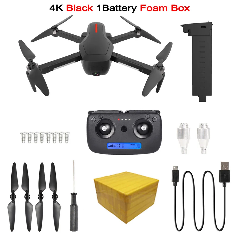 W10 бесщеточный gps Дрон 5G Wifi FPV RC Дрон с камерой 4K Ultra HD складной RC Квадрокоптер VS F11 SG906 SG106 4K камера Дрон - Цвет: W10 4K 1BAT FB B