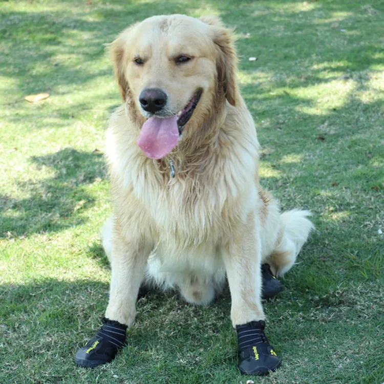 

Shoe for Dog four seasons puppy shoes do not drop shoes soft bottom reflective breathable non-slip pet shoes