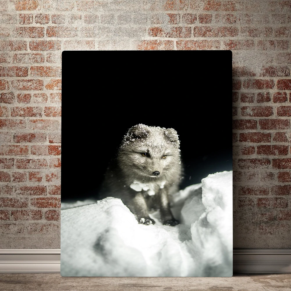 

Modern Home Decor Animal Posters Painting Wall White Fox In Snow Canvas Paintings Art Prints High Quality Modular Picture