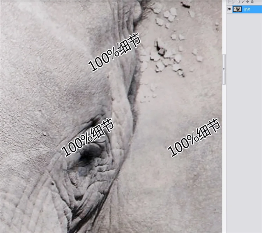 Индивидуальные 8d фото обои 3d росписи стерео слон художественный фон настенные