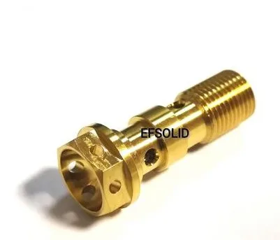 Two hole Gold color M10 мотоциклетные суппорты трубки Ti Болт титановые болты двигатель велосипед Ti цвет шестигранник полые головки фланца Ti крепеж 1 шт - Цвет: Two hole Gold color