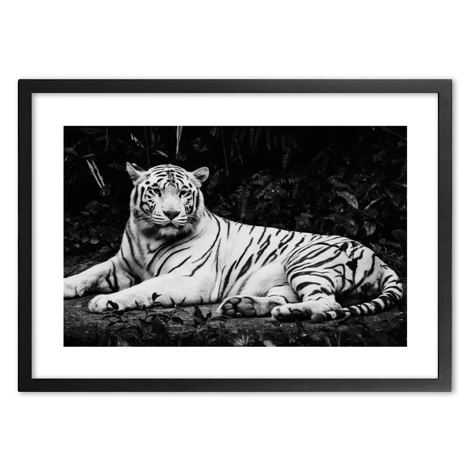 

Черная фотография искусство печать на стене бумажная живопись скандинавские плакаты и принты настенные картины для гостиной